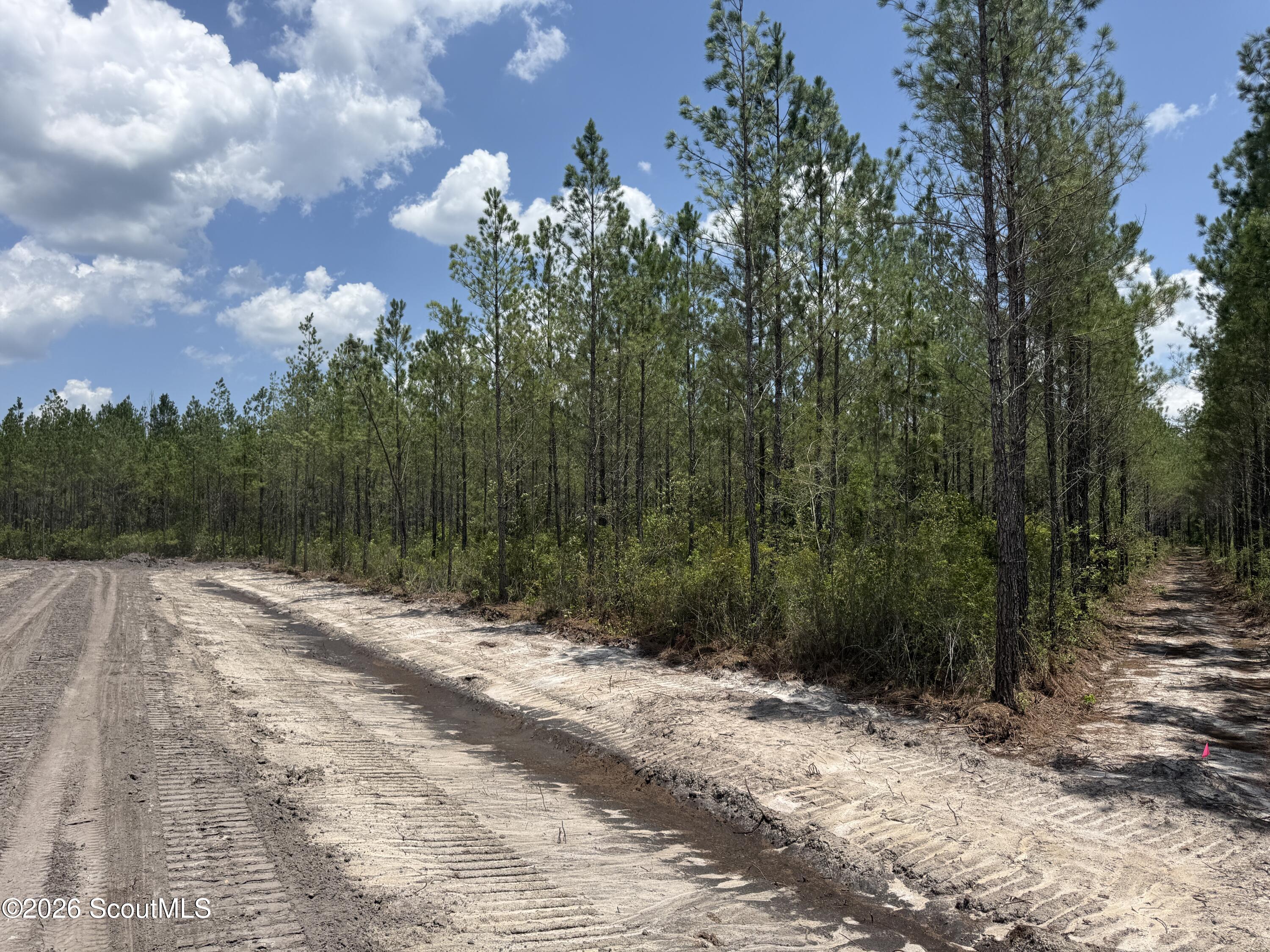 Lot 9 Corbitt Road, Unit LOT 9 Manor, GA 31550 - Photo 10 of 11 IMG_8058