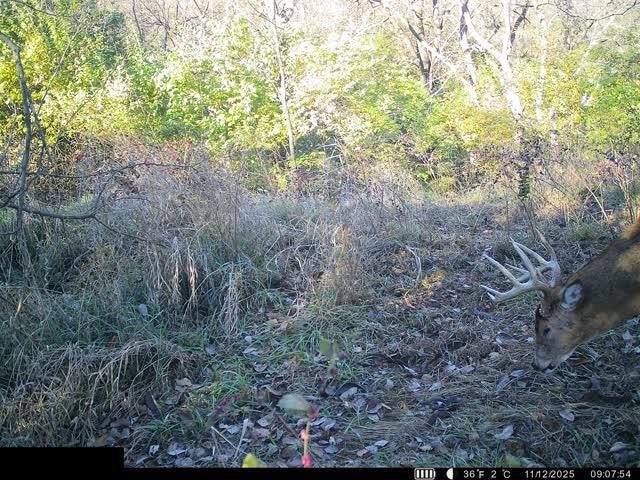 12087 U Road Hoyt, KS 66440 - Photo 36 of 42
