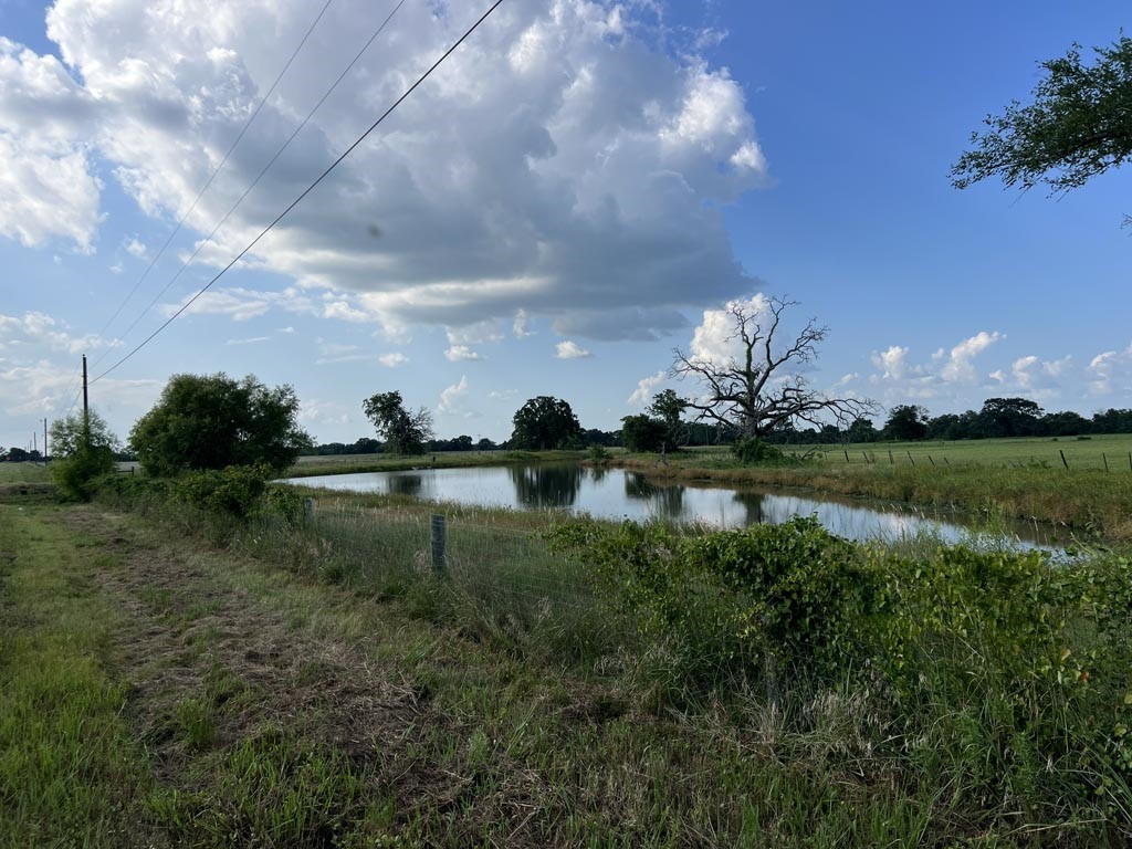 15130 Fm 39 Road Bedias, TX 77831 - Photo 20 of 26