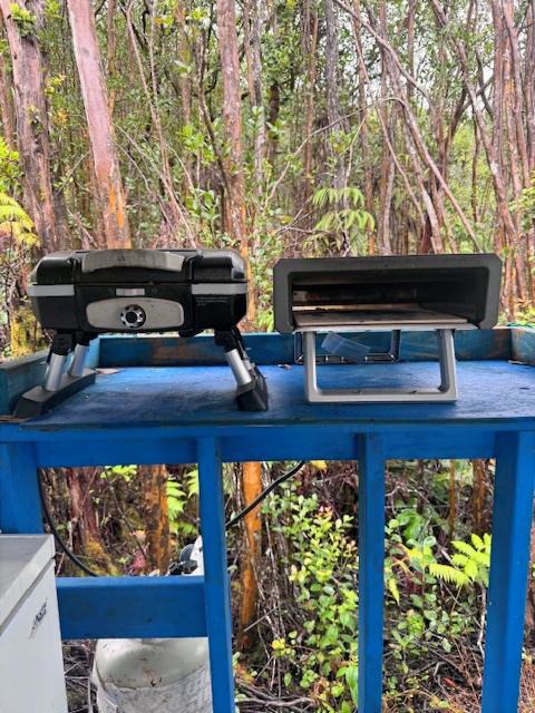 18-2264 Laulea Road Mountain View, HI 96771 - Photo 13 of 14