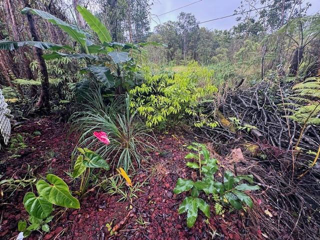 18-2264 Laulea Road Mountain View, HI 96771 - Photo 14 of 14