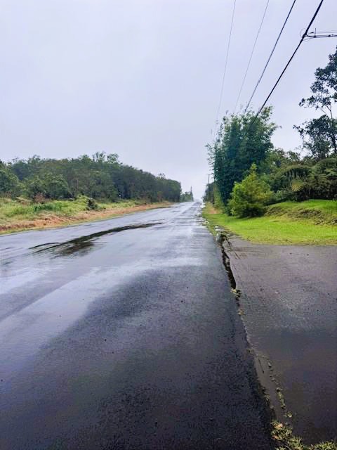 18-2264 Laulea Road Mountain View, HI 96771 - Photo 3 of 14