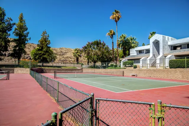 a view of a yard with a palm tree