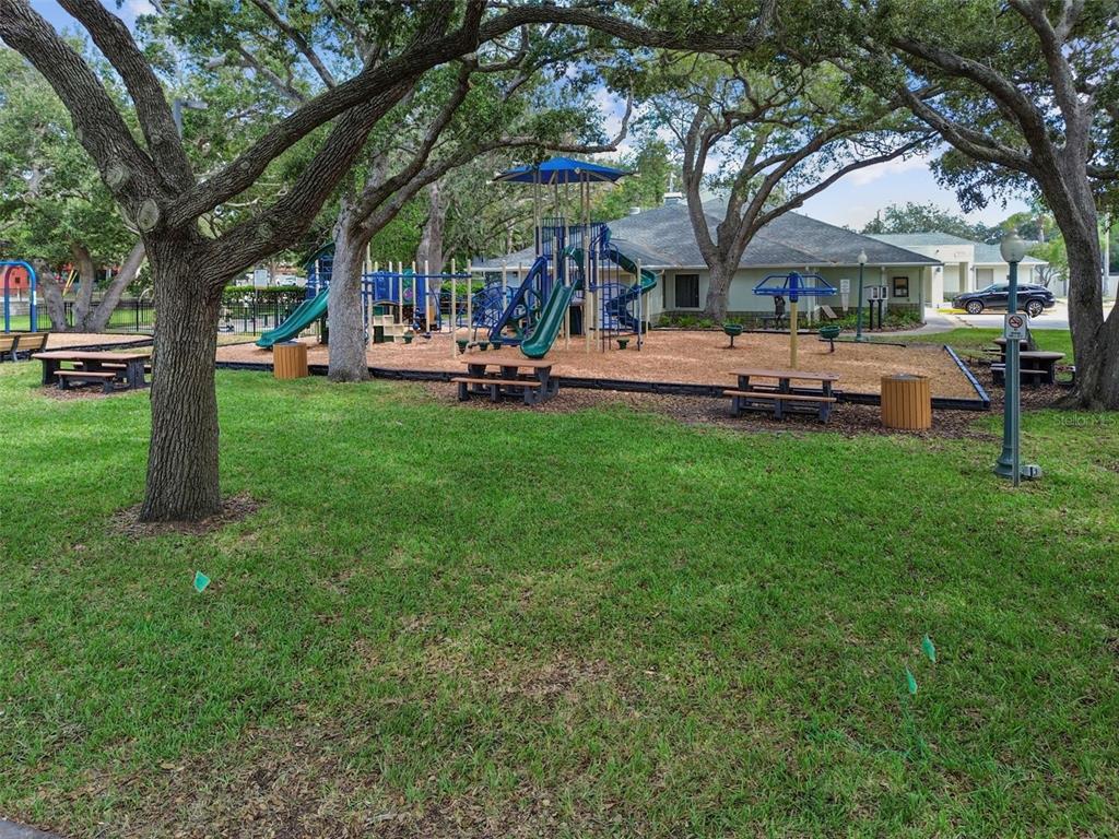 340 Mehlenbacher Road Belleair, FL 33756 - Photo 48 of 50