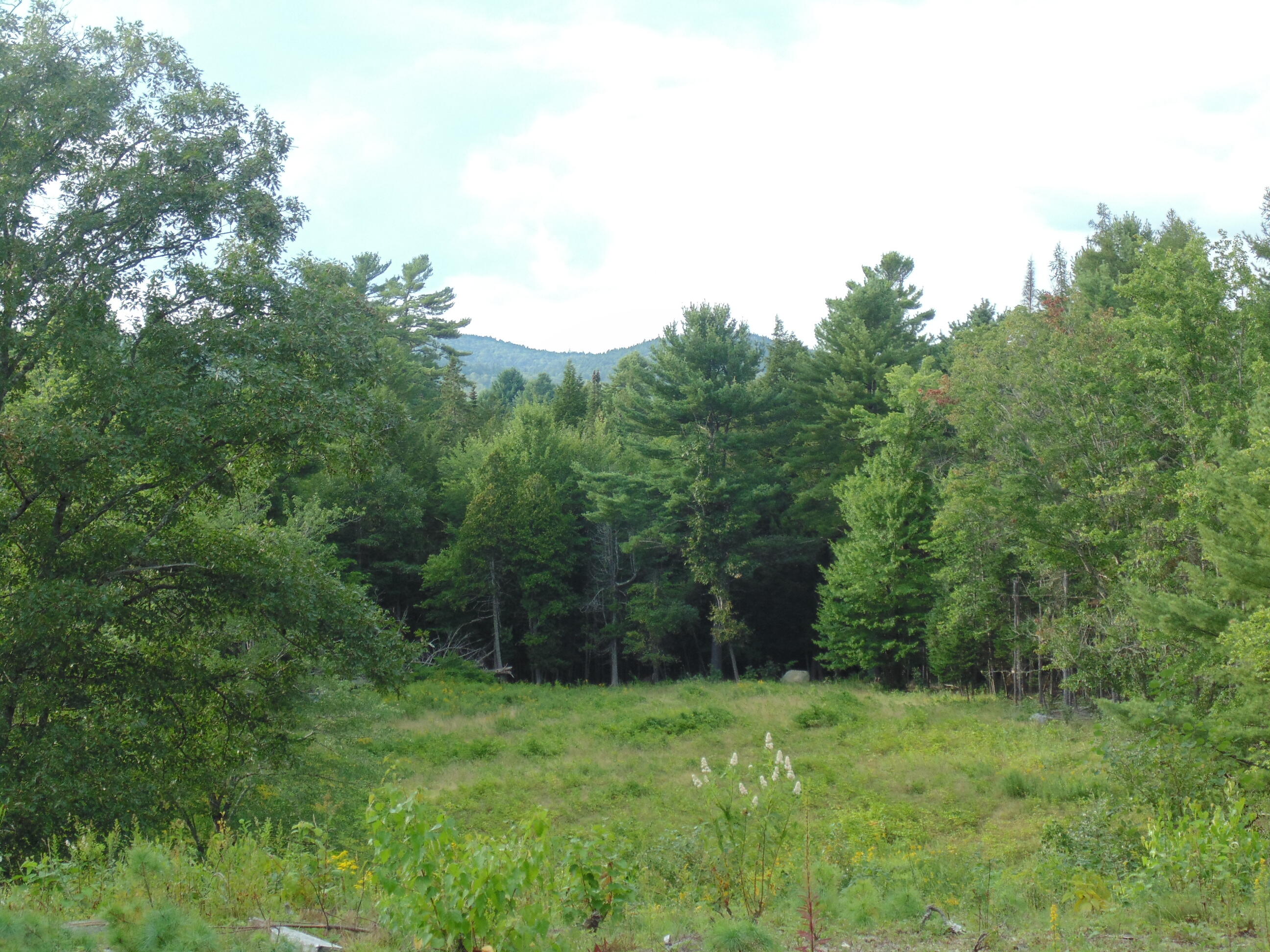 Lot #47 Airline Road Ellsworth, ME 04605 - Photo 2 of 22 DSC08151 - Copy