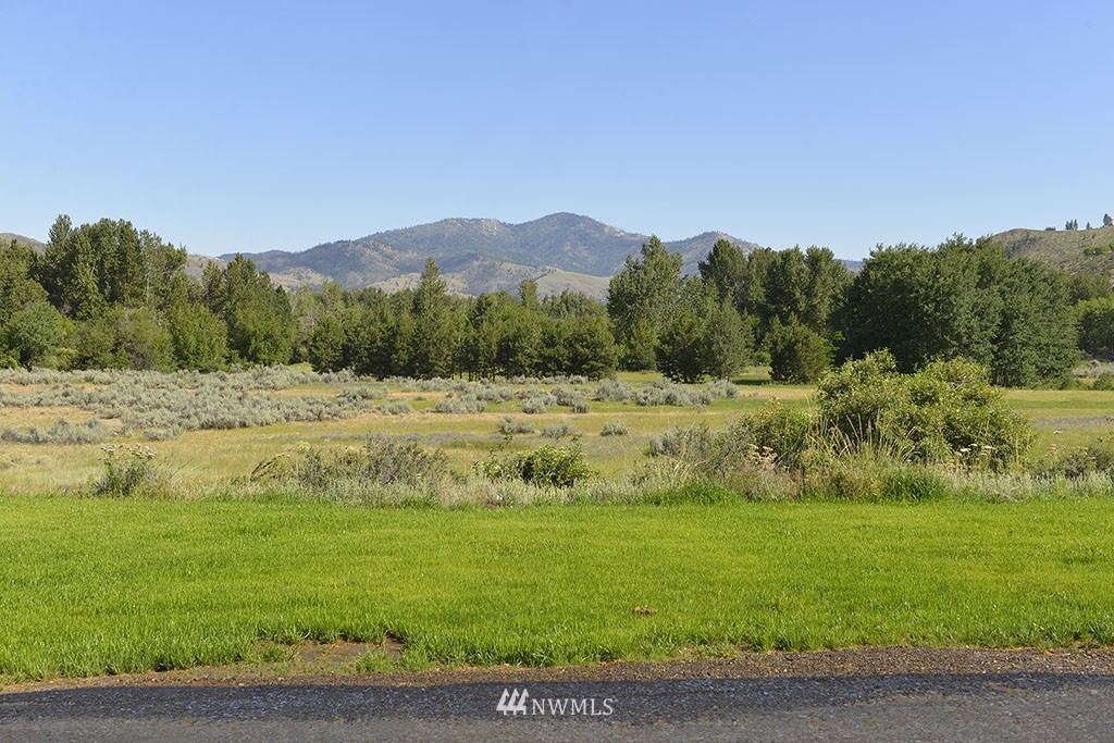 814 Twisp Carlton Road Twisp, WA 98856 - Photo 7 of 31