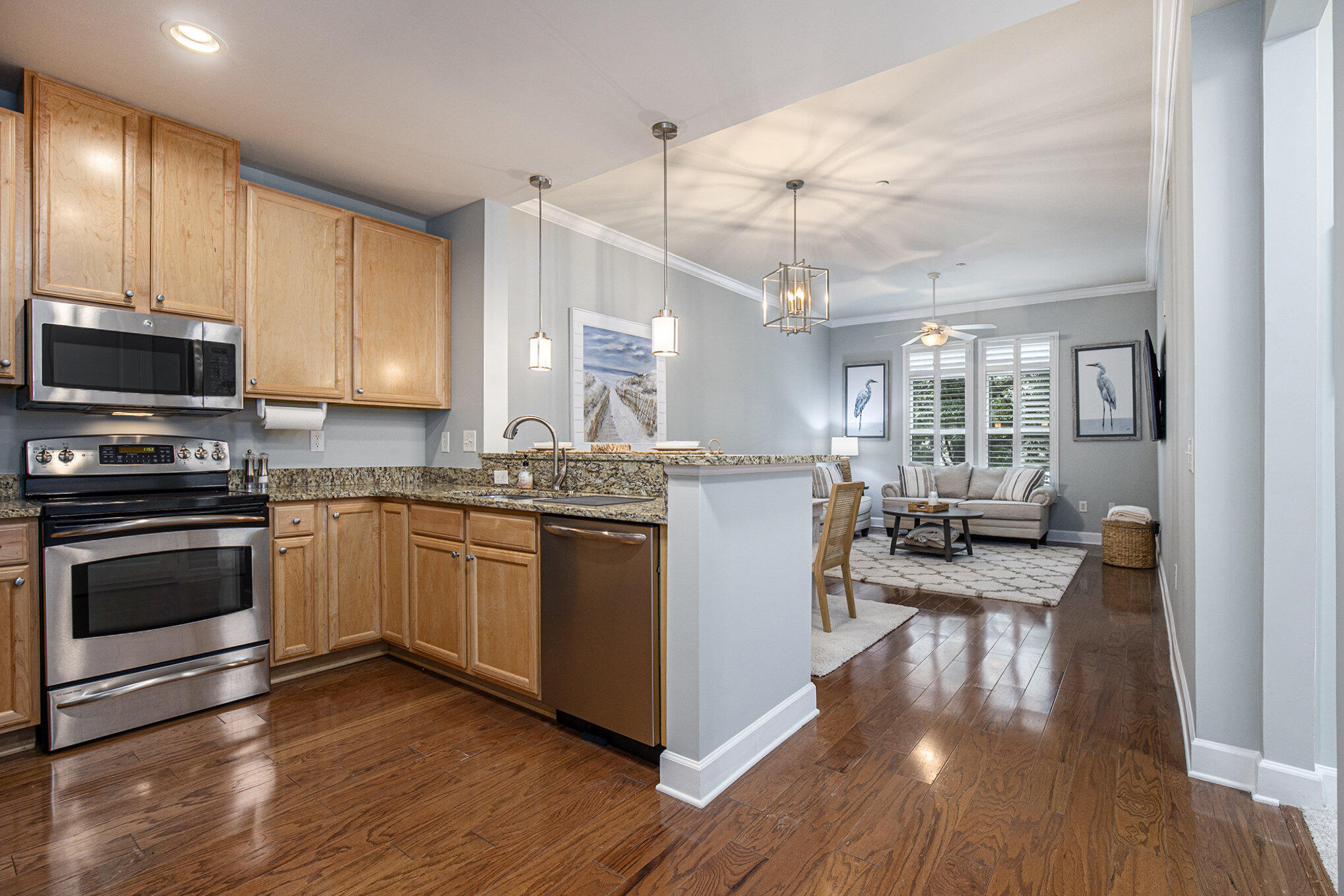 135 Pier View Street, Unit 103 Charleston, SC 29492 - Photo 11 of 28 009_r6_1602