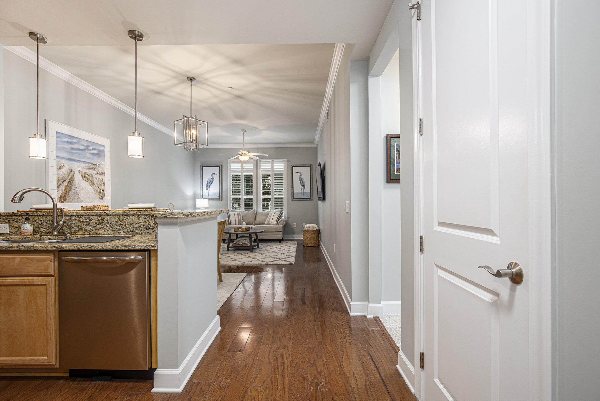 135 Pier View Street, Unit 103 Charleston, SC 29492 - Photo 6 of 28 003_r6_1581