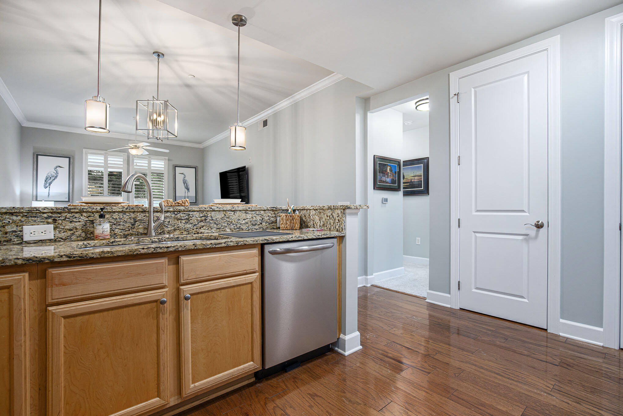 135 Pier View Street, Unit 103 Charleston, SC 29492 - Photo 8 of 28 006_r6_1591