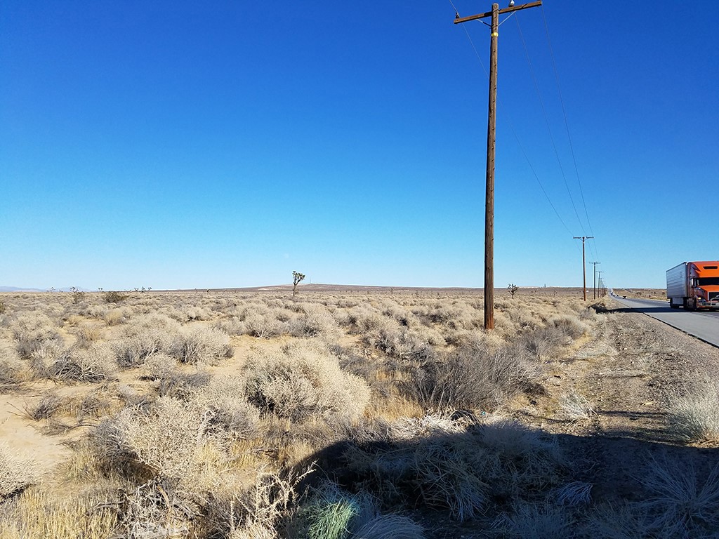 58 Mojave Ca Mojave, CA 93501 - Photo 6 of 12 a view of a dry yard
