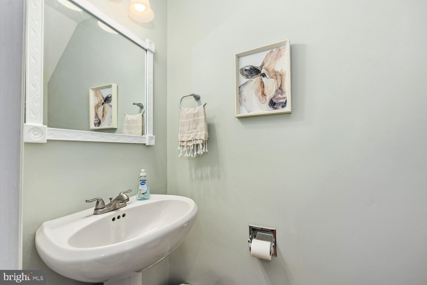 6029 Sunset Ridge Court Centreville, VA 20121 - Photo 17 of 31 a bathroom with a sink and mirror