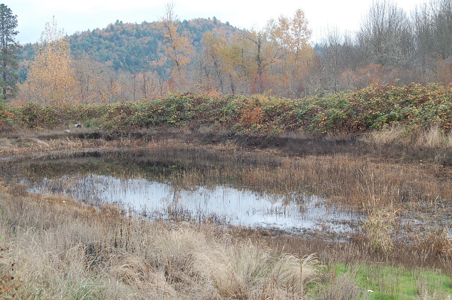 5922 Fish Hatchery Road Grants Pass, OR 97527 - Photo 22 of 26 23