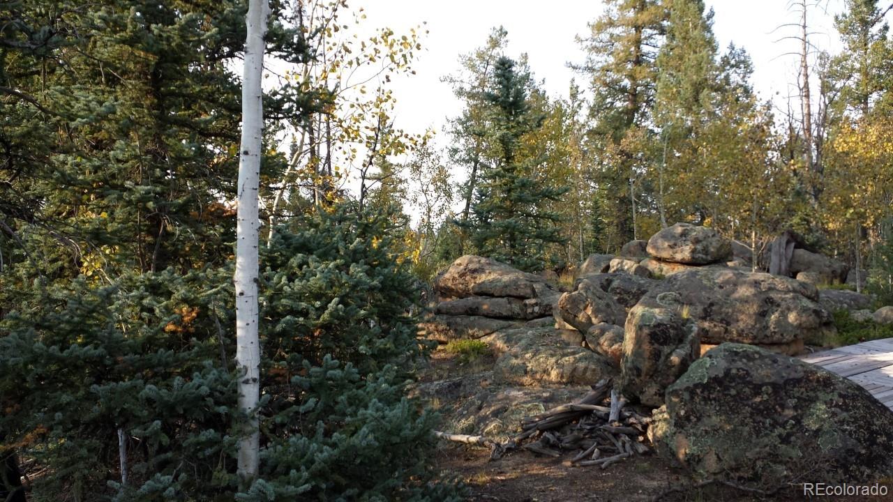 1070 Chippewa Road Como, CO 80456 - Photo 1 of 23 Gallery Image 1
