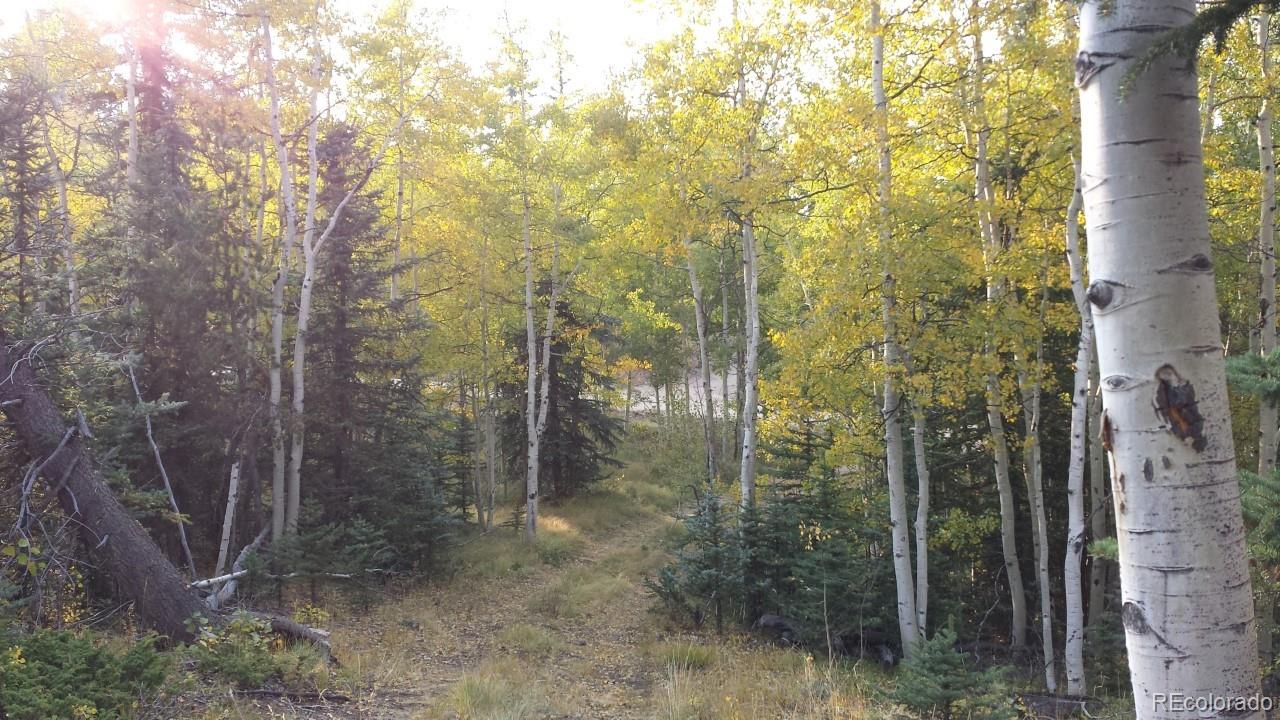 1070 Chippewa Road Como, CO 80456 - Photo 11 of 23 Gallery Image 11