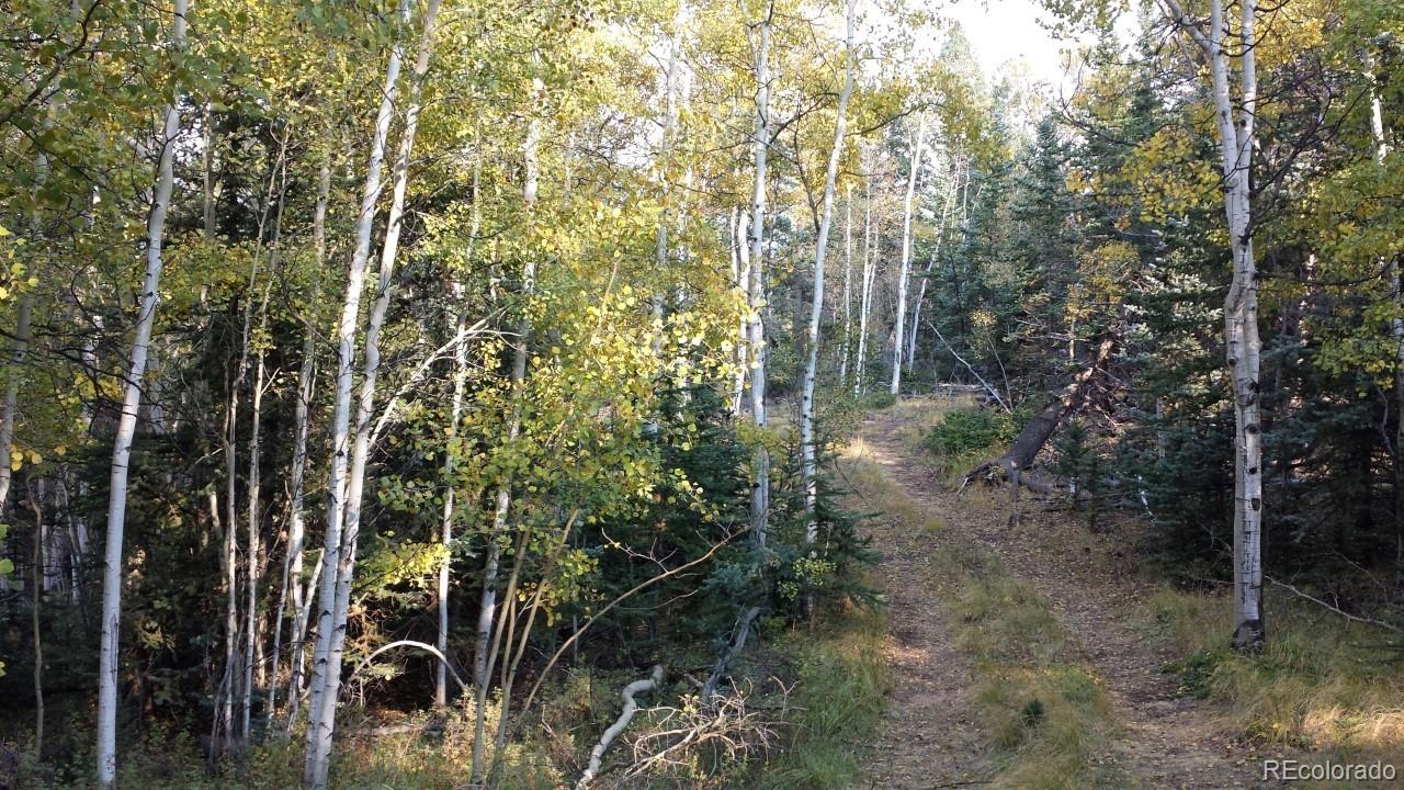 1070 Chippewa Road Como, CO 80456 - Photo 13 of 23 Gallery Image 13