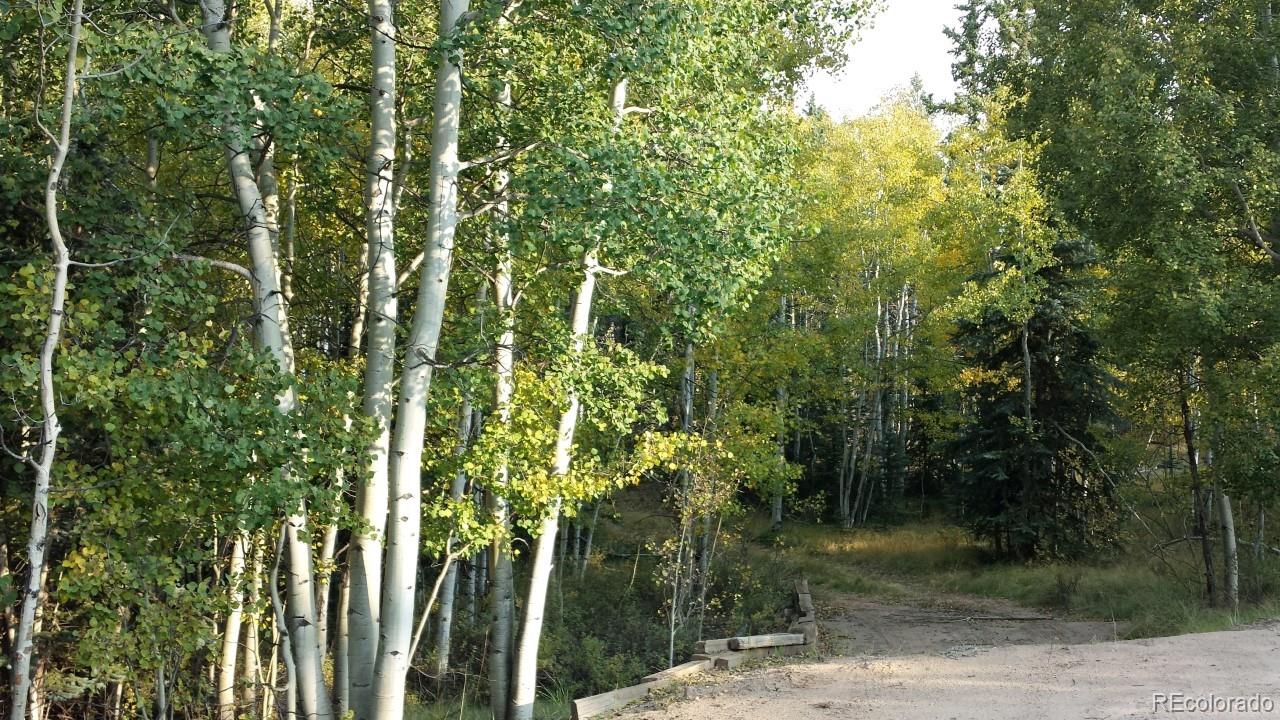 1070 Chippewa Road Como, CO 80456 - Photo 14 of 23 Gallery Image 14