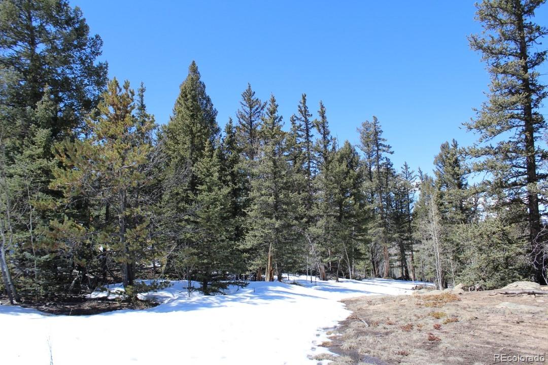 1070 Chippewa Road Como, CO 80456 - Photo 20 of 23 Gallery Image 20