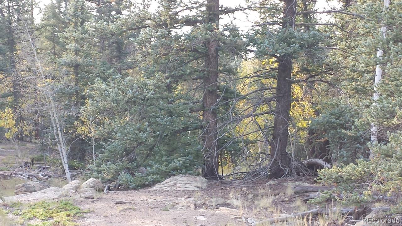 1070 Chippewa Road Como, CO 80456 - Photo 4 of 23 Gallery Image 4