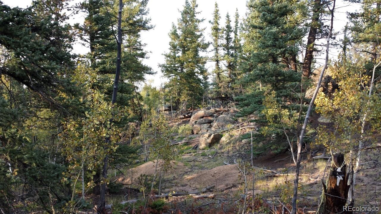 1070 Chippewa Road Como, CO 80456 - Photo 7 of 23 Gallery Image 7
