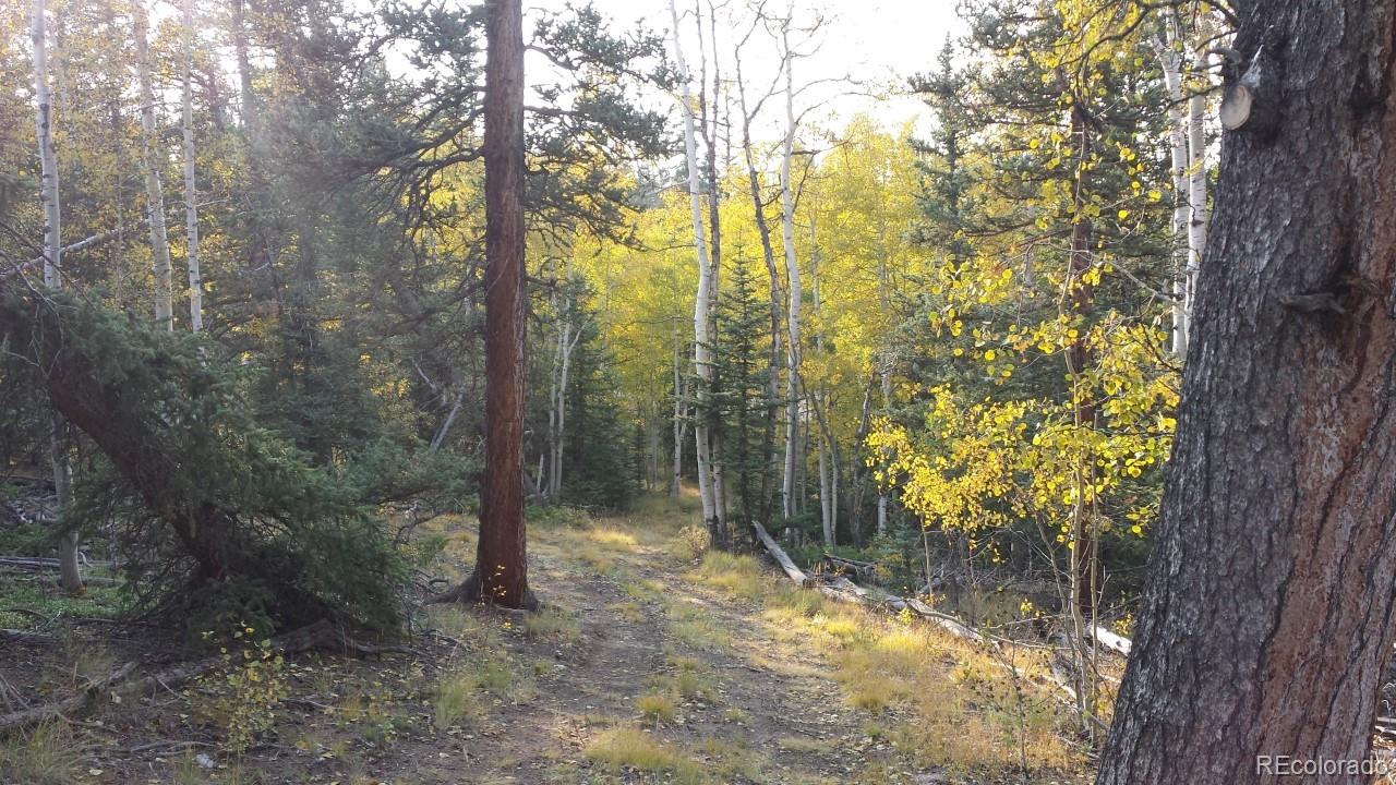 1070 Chippewa Road Como, CO 80456 - Photo 8 of 23 Gallery Image 8