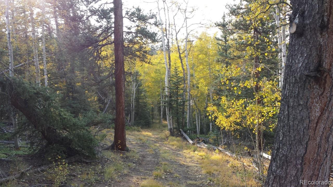 1070 Chippewa Road Como, CO 80456 - Photo 9 of 23 Gallery Image 9