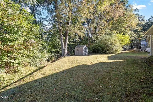 a view of a yard with a tree