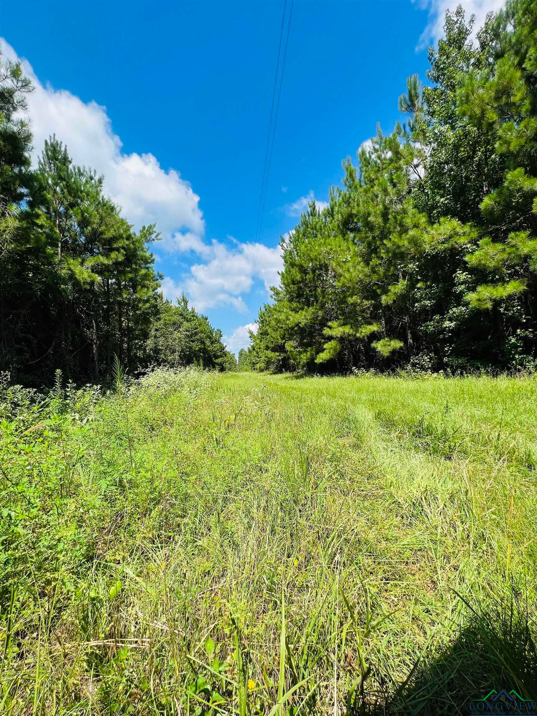 Tbd Storie Road Jefferson, TX 75657 - Photo 2 of 25 Gallery Image 2