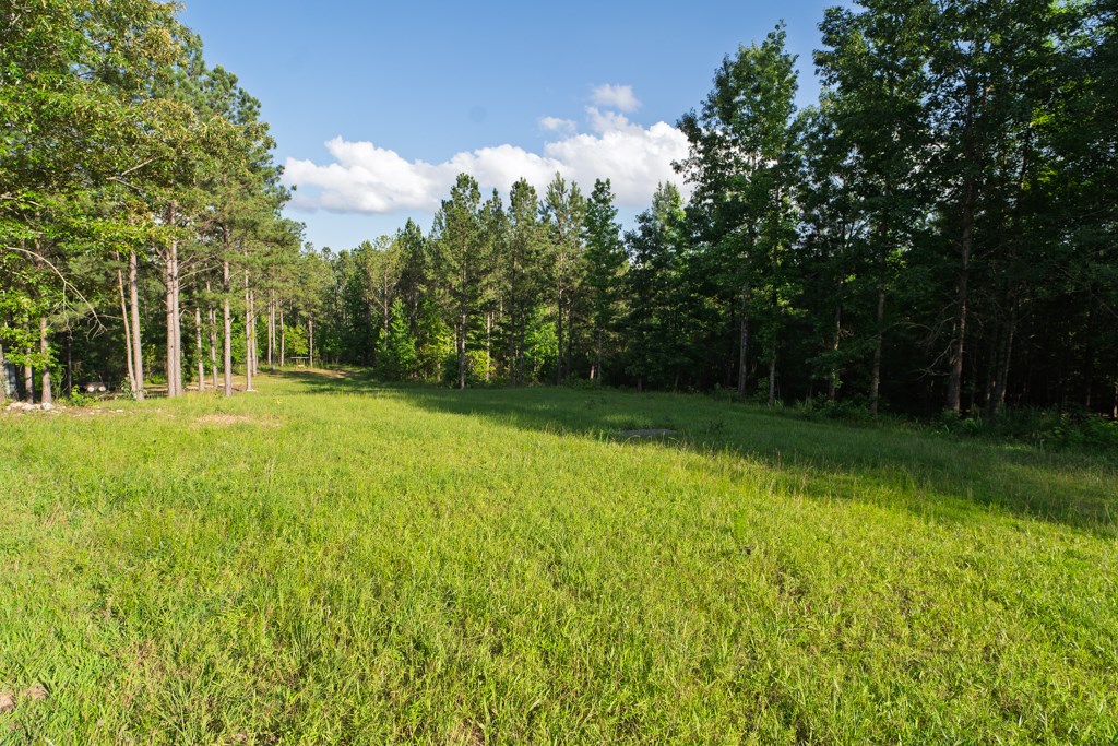 719 Harris Road Waverly Hall, GA 31831 - Photo 41 of 42