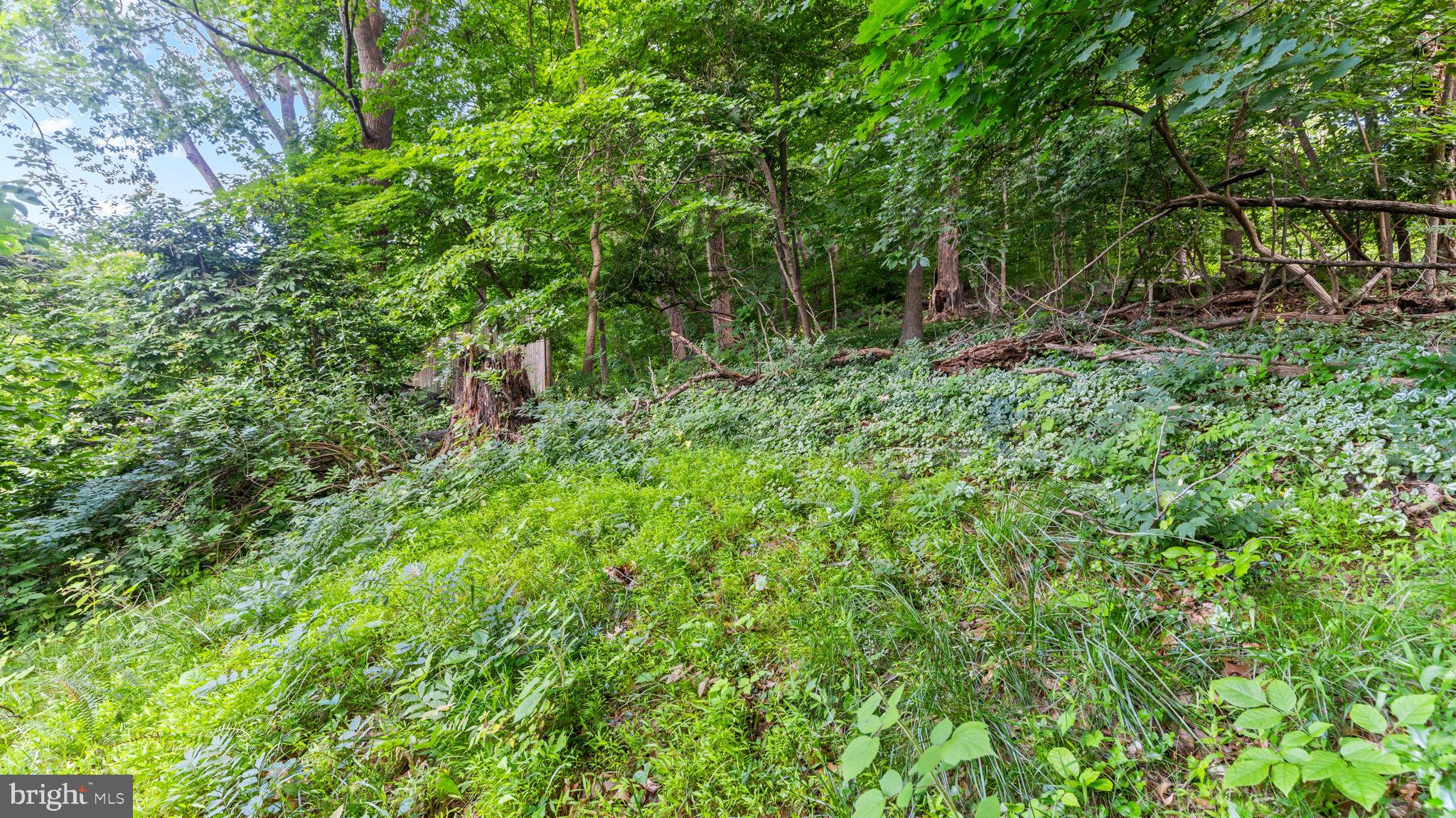 5025 Wetheredsville Road Baltimore, MD 21207 - Photo 40 of 58 Private Yard