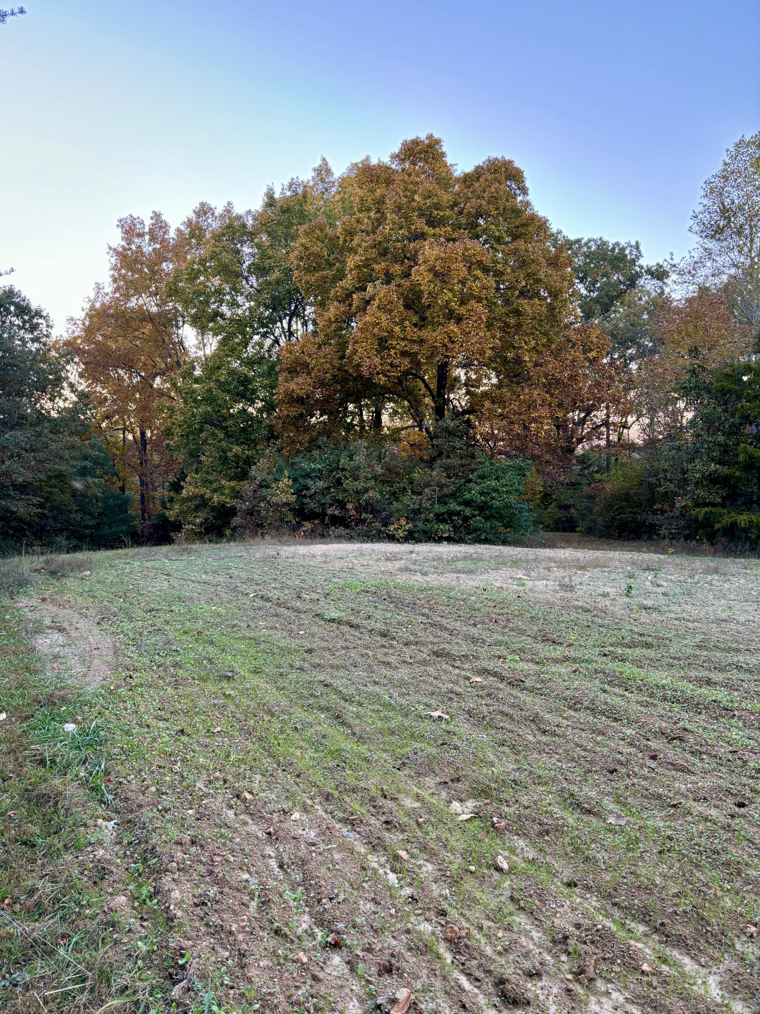 1125 Porter Road Burns, TN 37029 - Photo 59 of 63
