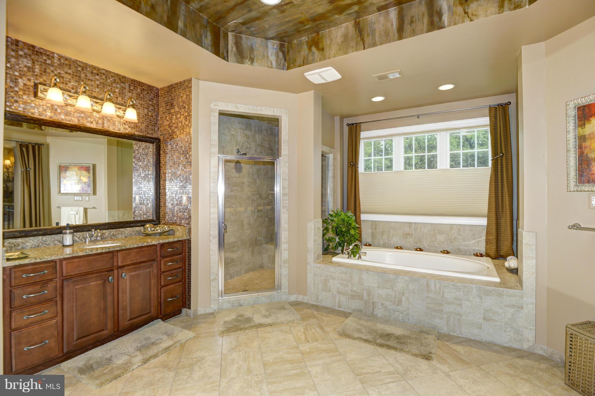 11032 Hunters View Road Ellicott City, MD 21042 - Photo 15 of 29 Bath (Master)