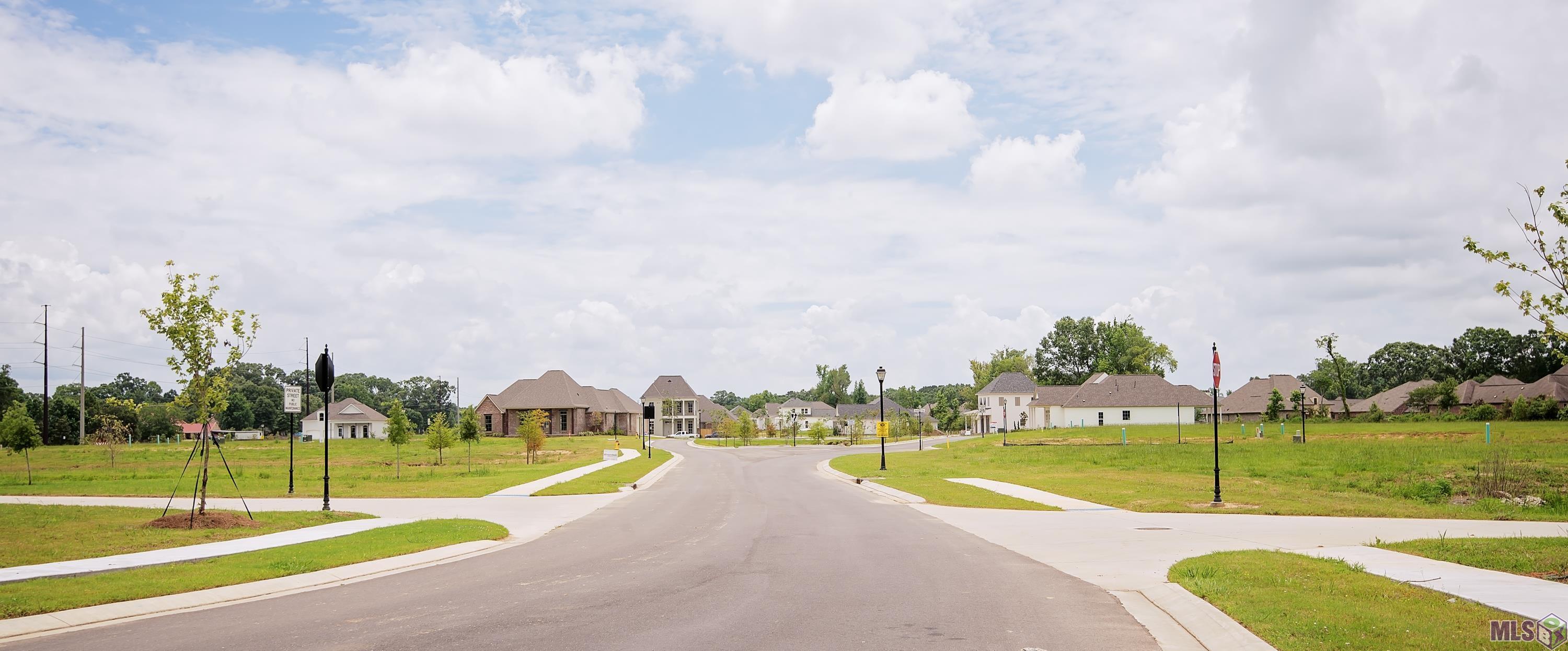 77 Emery Lane Prairieville, LA 70769 - Photo 16 of 17