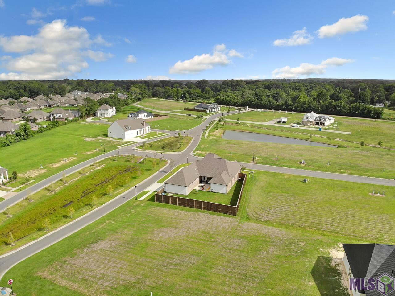 77 Emery Lane Prairieville, LA 70769 - Photo 4 of 17