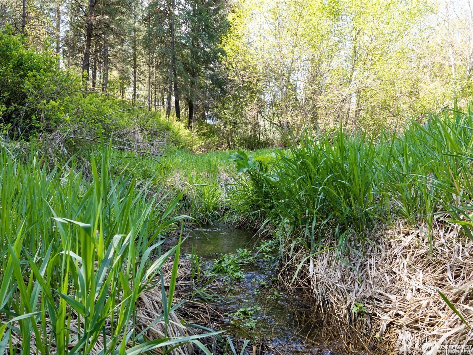 39297 Halvorson Canyon Road North Creston, WA 99117 - Photo 19 of 26