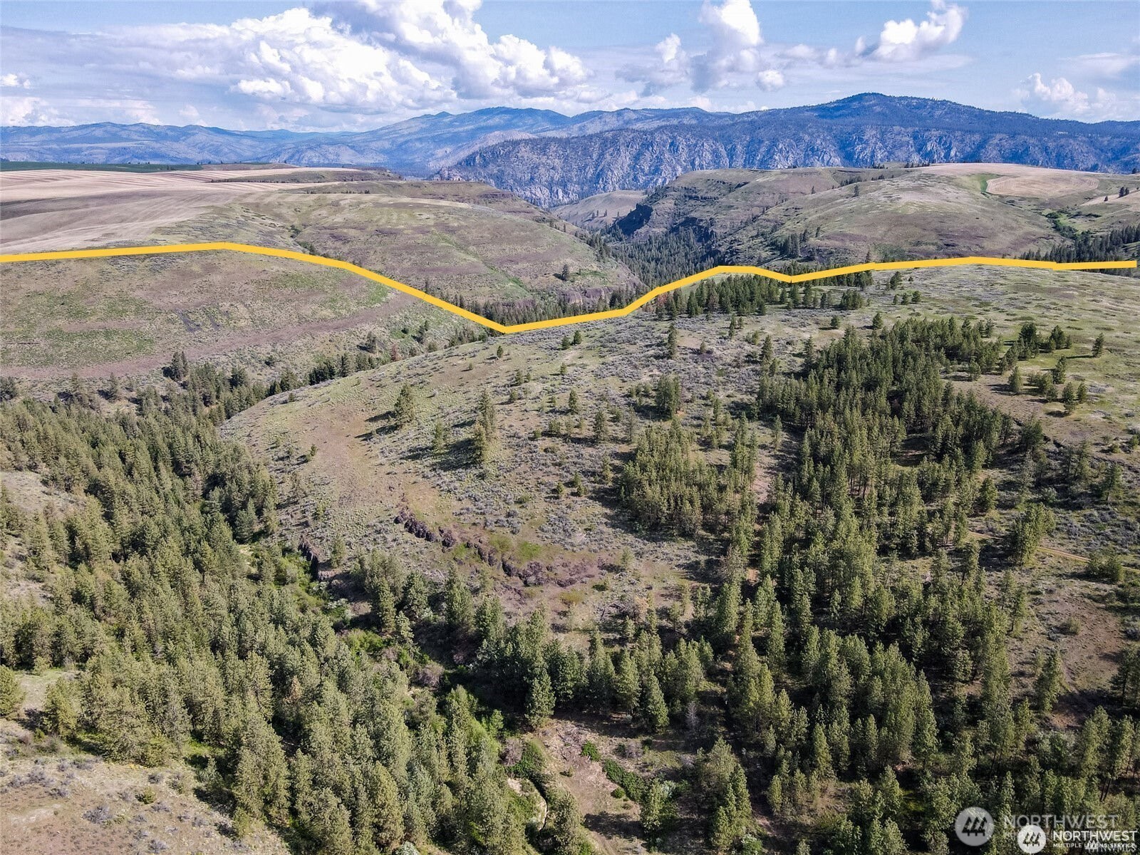 39297 Halvorson Canyon Road North Creston, WA 99117 - Photo 20 of 26