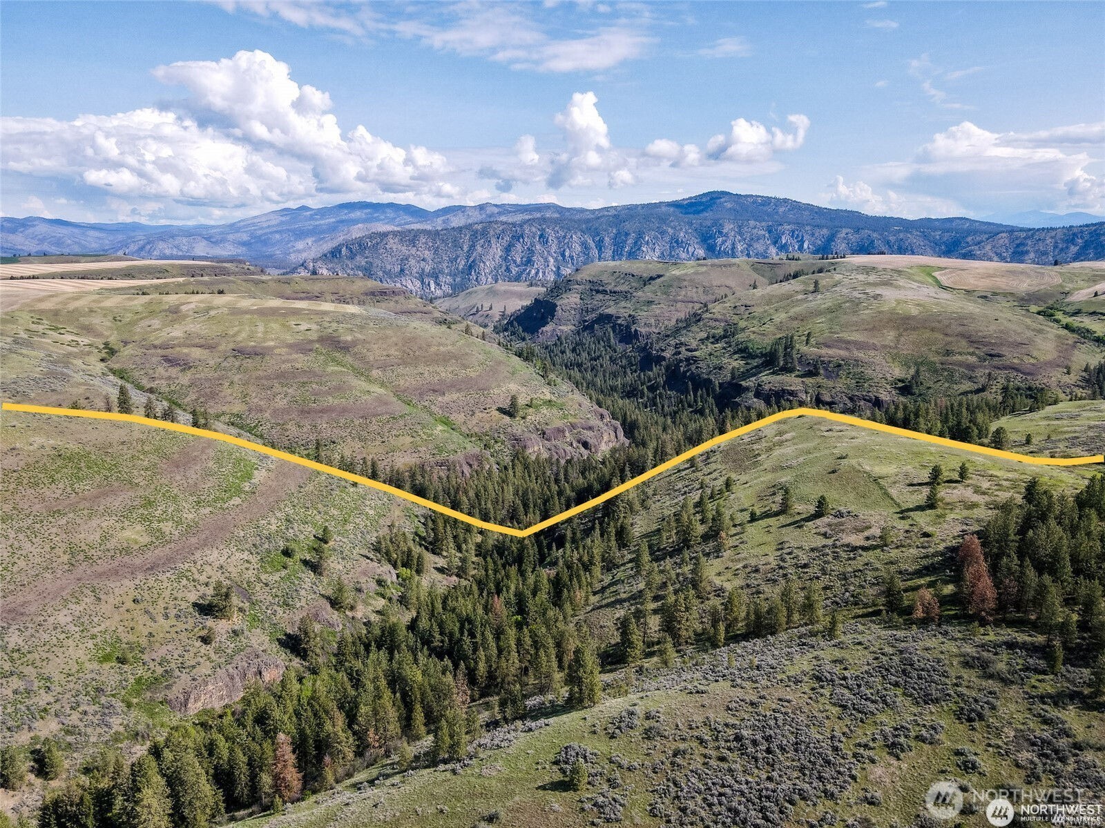 39297 Halvorson Canyon Road North Creston, WA 99117 - Photo 21 of 26