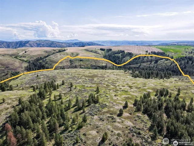 a view of a dry yard with wooden fence