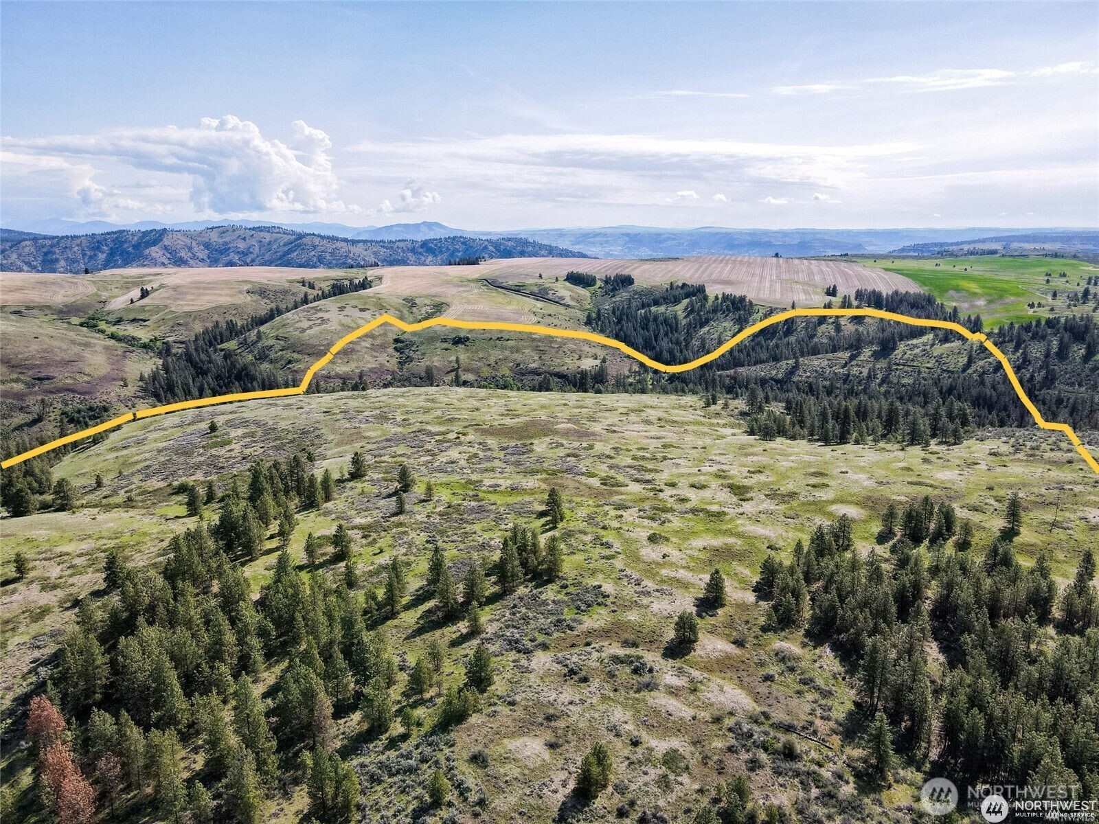 39297 Halvorson Canyon Road North Creston, WA 99117 - Photo 22 of 26