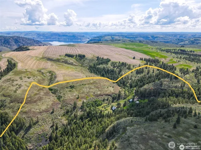 a view of backyard with green space