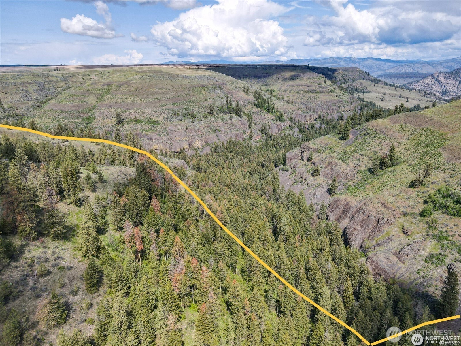 39297 Halvorson Canyon Road North Creston, WA 99117 - Photo 24 of 26