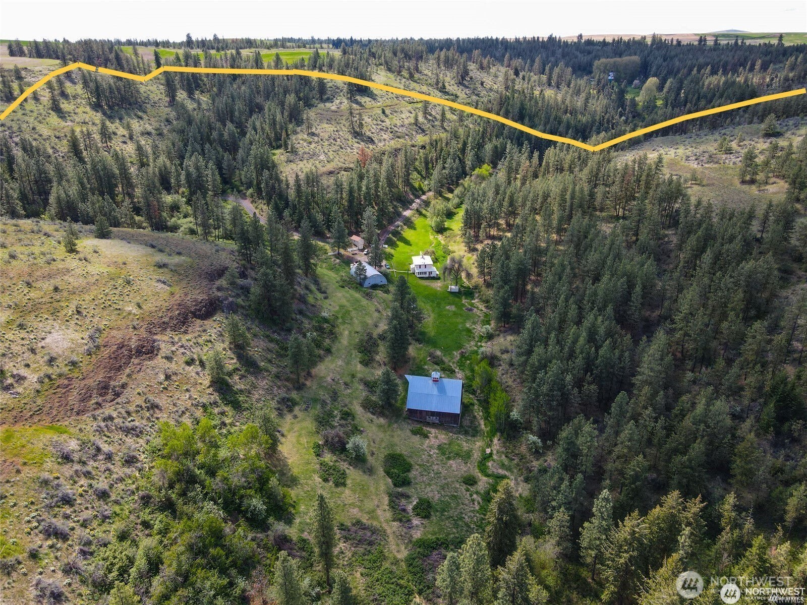 39297 Halvorson Canyon Road North Creston, WA 99117 - Photo 4 of 26