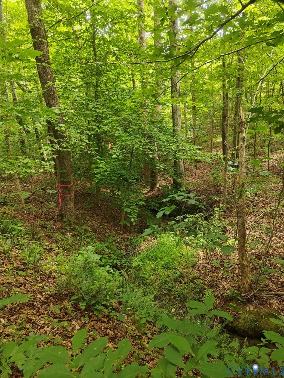 0 Davenport Road Cumberland, VA 23040 - Photo 2 of 15