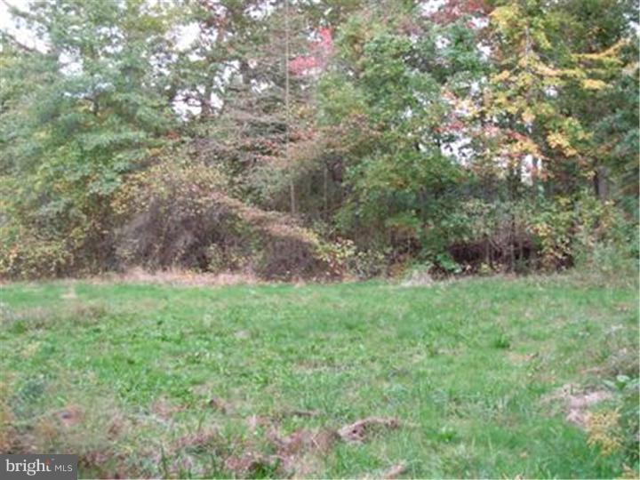 29 Hankins Road Hightstown, NJ 08520 - Photo 3 of 6 Gallery Image 3