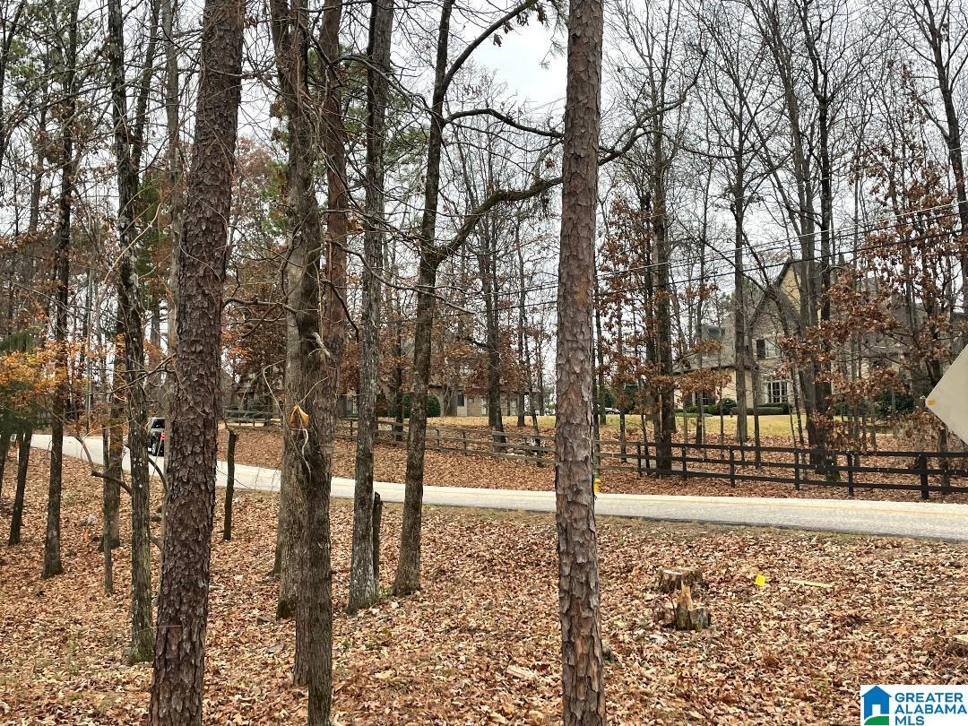 149 New Hope Mountain Road, Unit 1 Birmingham, AL 35242 - Photo 6 of 6