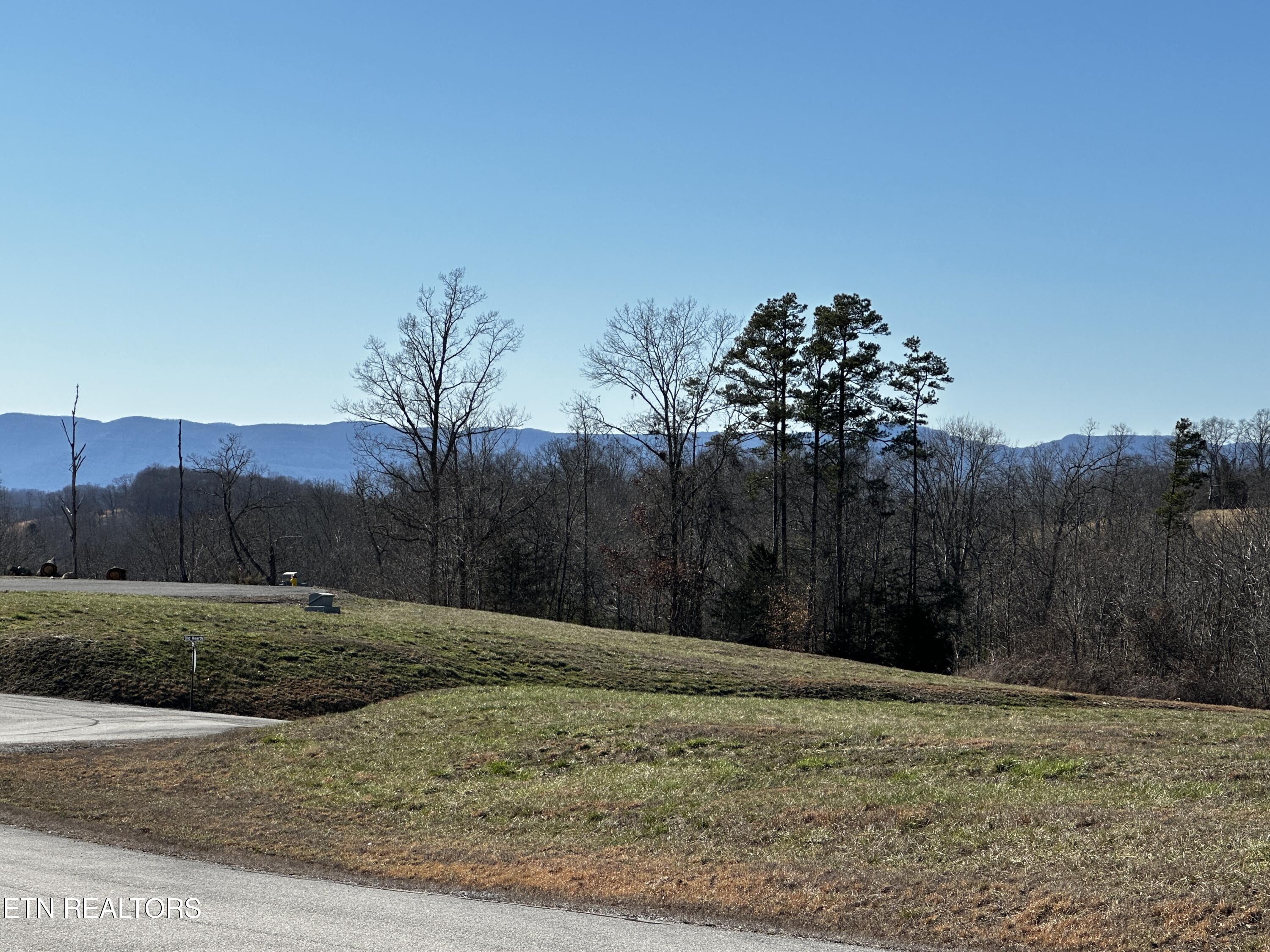 535 Prestige Ridge La Follette, TN 37766 - Photo 16 of 31 IMG_2112