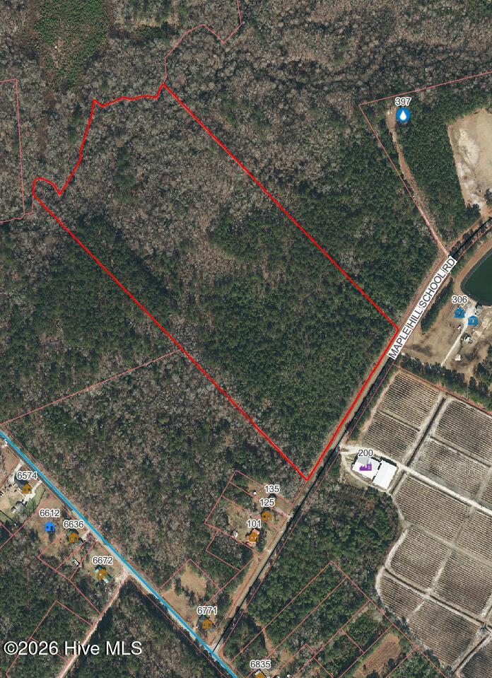 28-ac Maple Hill School Road Maple Hill, NC 28454 - Photo 12 of 20