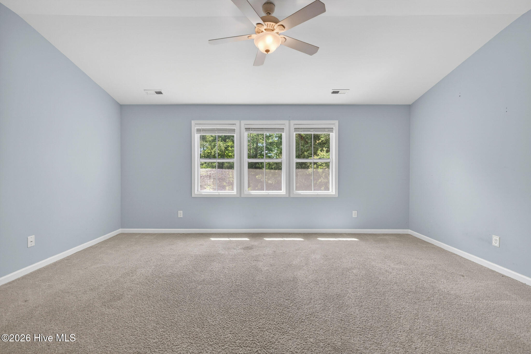 52 Violetear Ridge Hampstead, NC 28443 - Photo 34 of 75