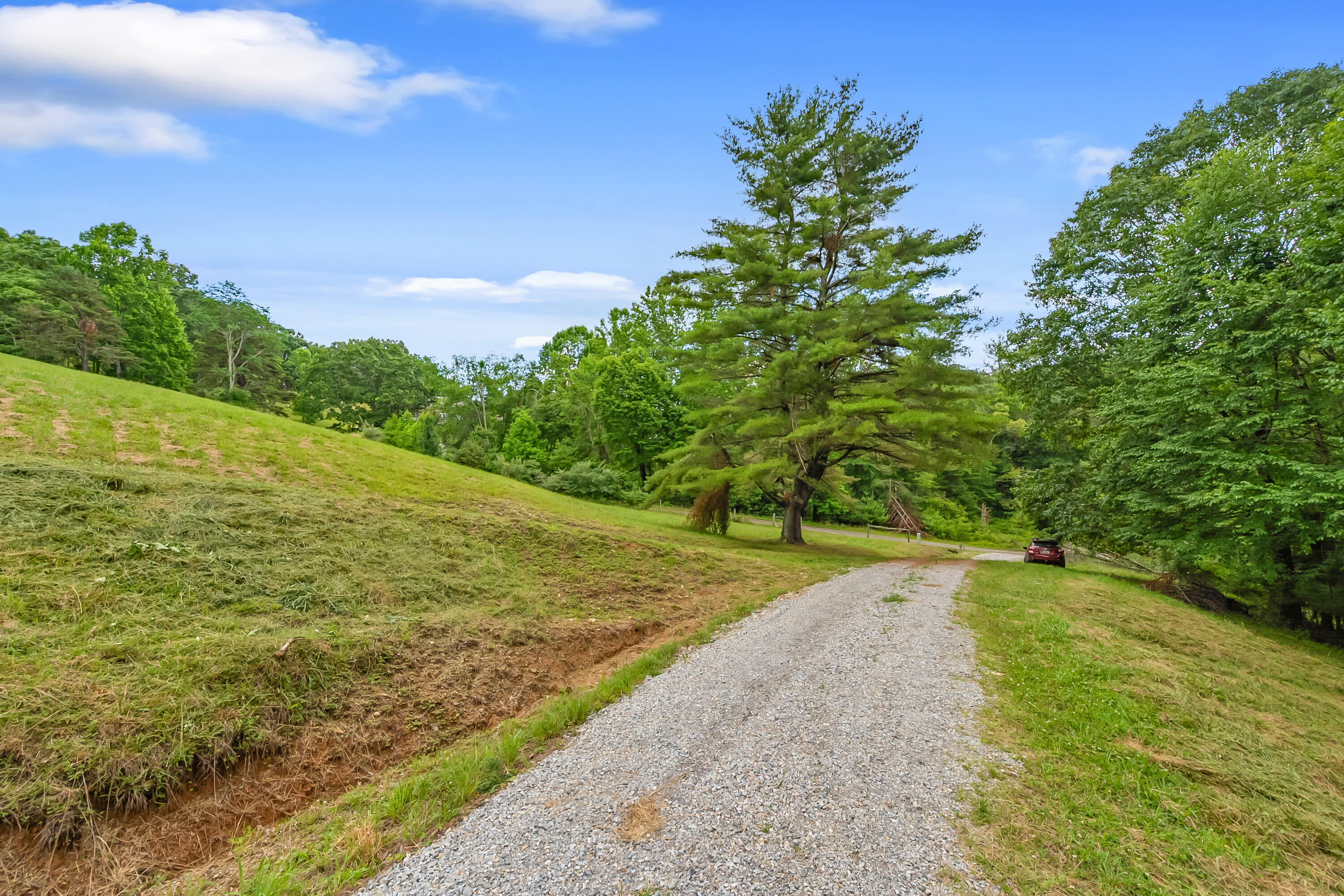 133 Wonder Way Northeast Pilot, VA 24138 - Photo 28 of 57 a view of a yard with a large trees