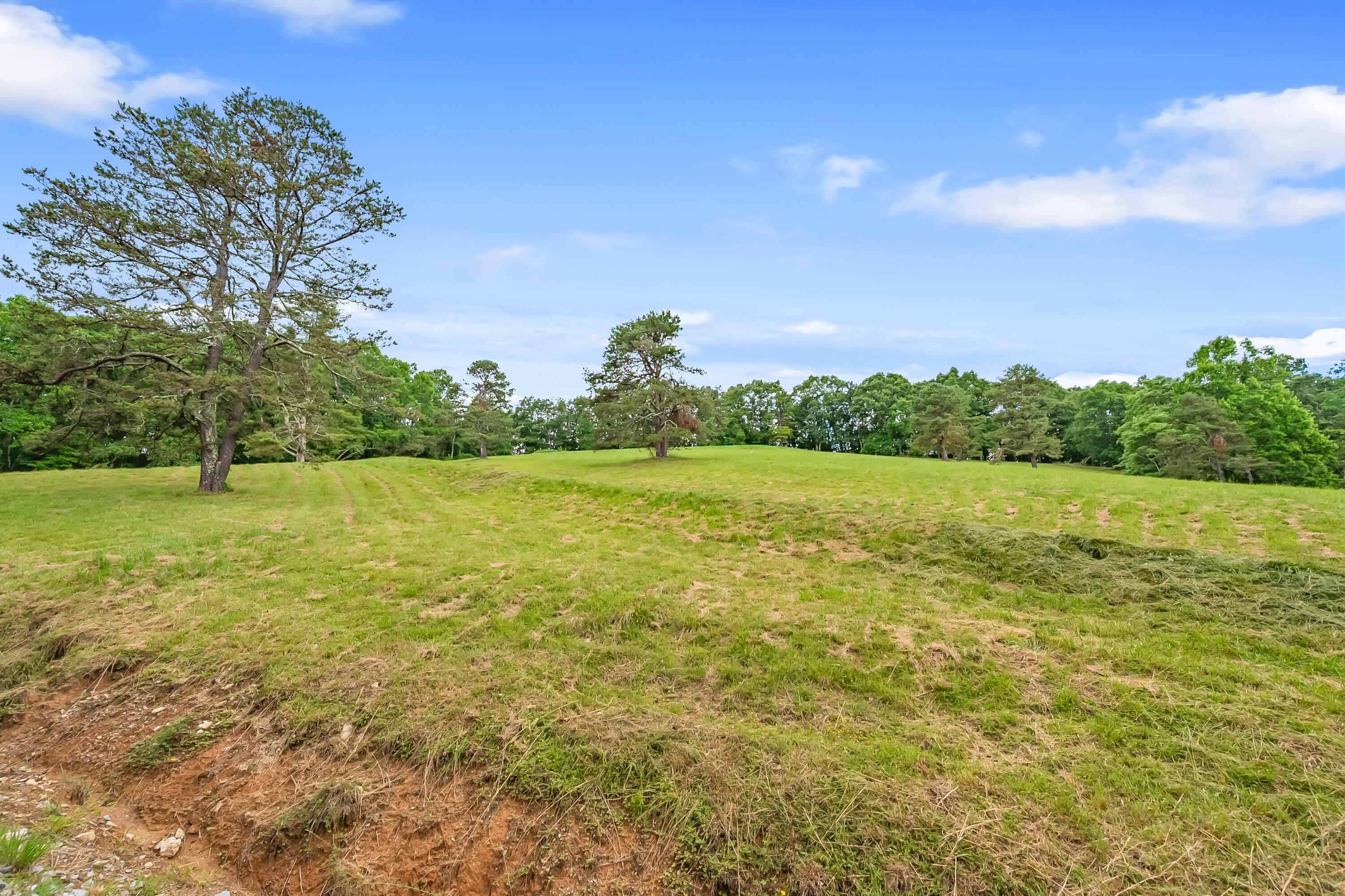 133 Wonder Way Northeast Pilot, VA 24138 - Photo 29 of 57 a yard with swimming pool and green space