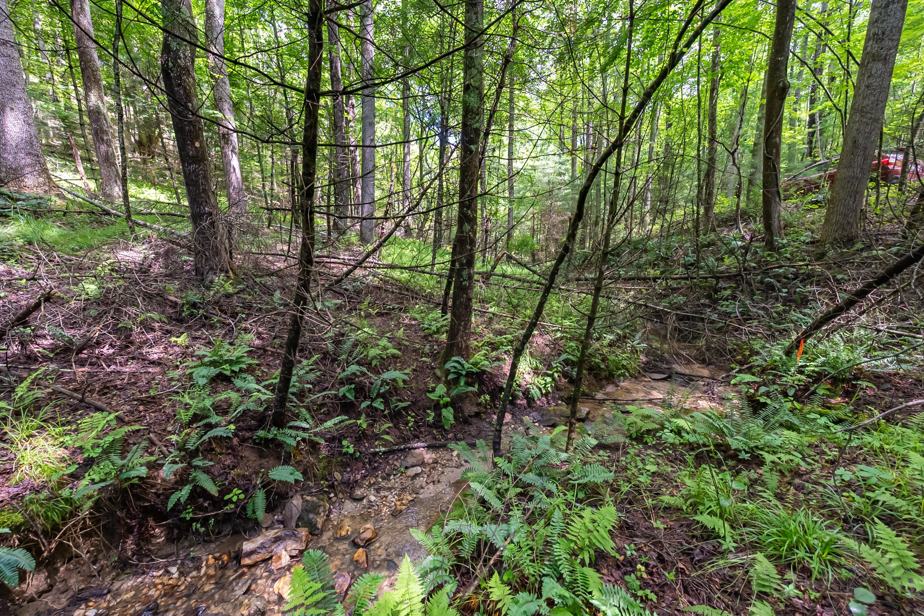 133 Wonder Way Northeast Pilot, VA 24138 - Photo 30 of 57 a view of forest